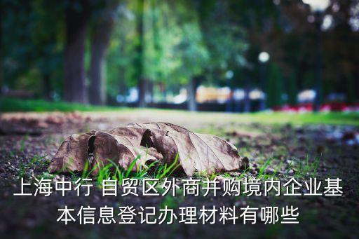 上海中行 自貿區(qū)外商并購境內企業(yè)基本信息登記辦理材料有哪些