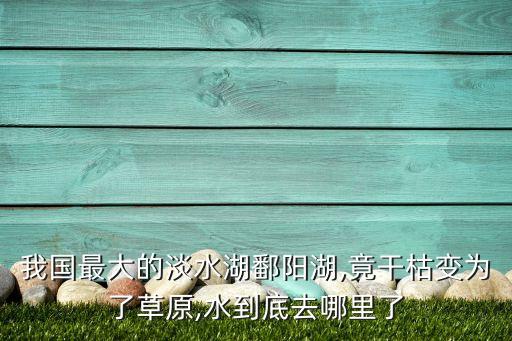 我國(guó)最大的淡水湖鄱陽湖,竟干枯變?yōu)榱瞬菰?水到底去哪里了
