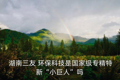  湖南三友 環(huán)?？萍际菄壹墝＞匦隆靶【奕恕眴? class=