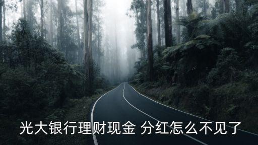  光大銀行理財現(xiàn)金 分紅怎么不見了