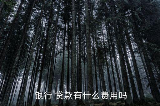 銀行抵押貸款要手續(xù)費嗎,重慶銀行二次抵押貸款收取2個點的手續(xù)費