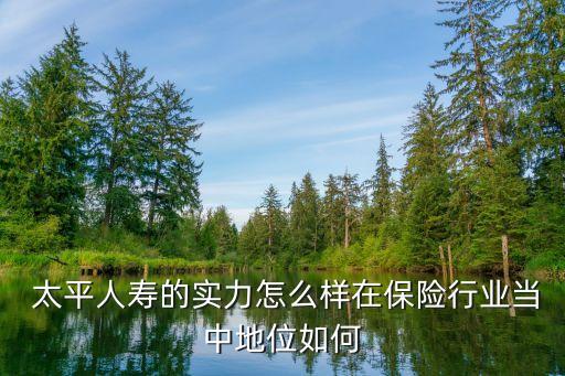 中國太平內(nèi)涵價(jià)值