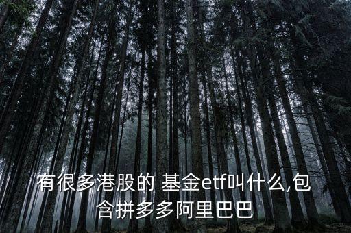 有很多港股的 基金etf叫什么,包含拼多多阿里巴巴