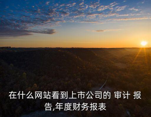 華映集團審計報告,旺旺集團審計報告