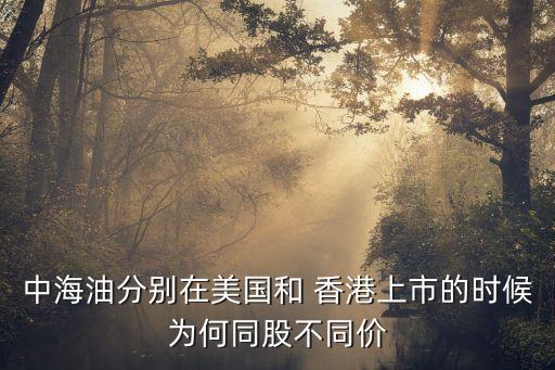中海油分別在美國(guó)和 香港上市的時(shí)候?yàn)楹瓮刹煌瑑r(jià)
