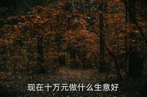 現(xiàn)在十萬(wàn)元做什么生意好