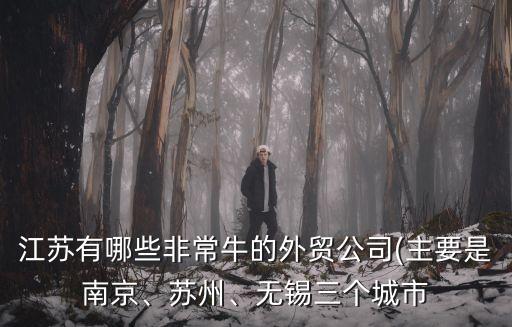 江蘇有哪些非常牛的外貿(mào)公司(主要是南京、蘇州、無錫三個(gè)城市