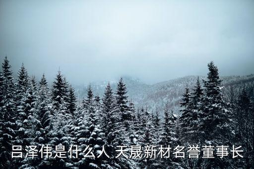 呂澤偉是什么人 天晟新材名譽(yù)董事長(zhǎng)