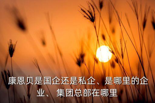  康恩貝是國企還是私企、是哪里的企業(yè)、 集團總部在哪里