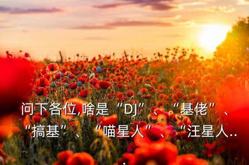 問(wèn)下各位,啥是“DJ”、“基佬”、“搞基”、“喵星人”、“汪星人...