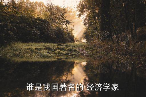 誰是我國著名的 經(jīng)濟學家