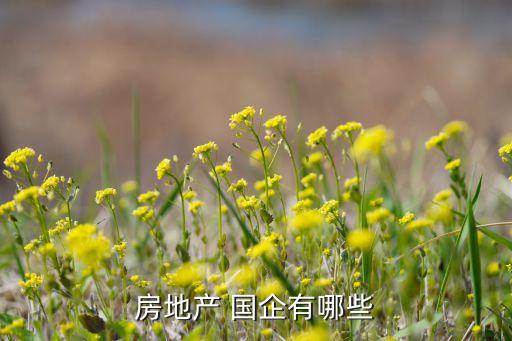 房地產(chǎn) 國(guó)企有哪些