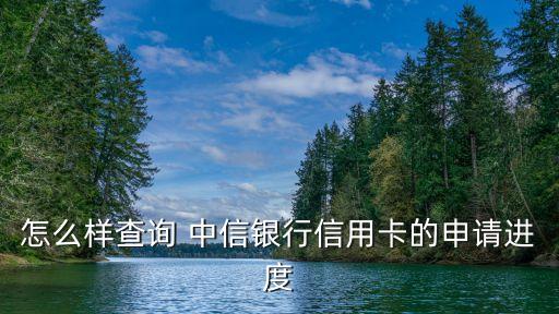 怎么樣查詢 中信銀行信用卡的申請(qǐng)進(jìn)度