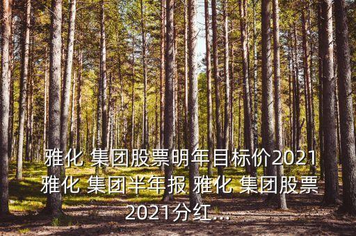  雅化 集團股票明年目標價2021 雅化 集團半年報 雅化 集團股票2021分紅...