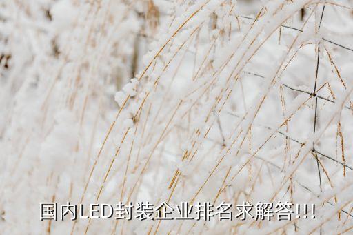 國內(nèi)LED封裝企業(yè)排名求解答!!!