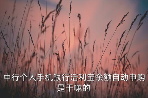 中行個人手機銀行活利寶余額自動申購是干嘛的