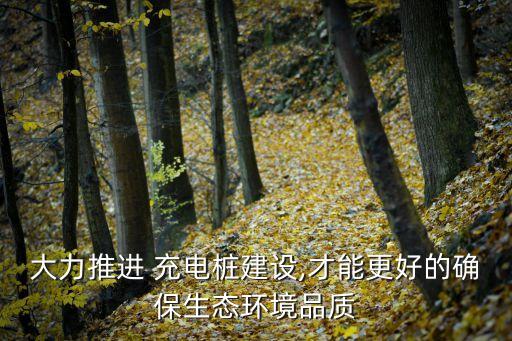 大力推進(jìn) 充電樁建設(shè),才能更好的確保生態(tài)環(huán)境品質(zhì)