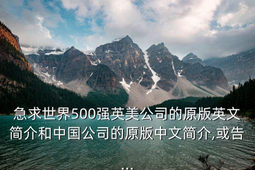 急求世界500強(qiáng)英美公司的原版英文簡(jiǎn)介和中國(guó)公司的原版中文簡(jiǎn)介,或告...
