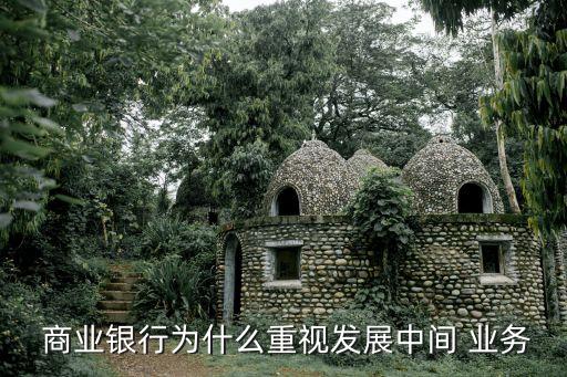  商業(yè)銀行為什么重視發(fā)展中間 業(yè)務(wù)