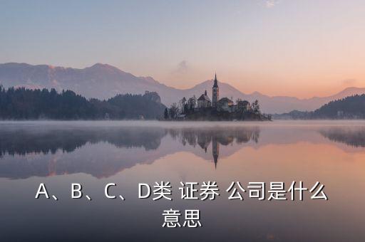 A、B、C、D類 證券 公司是什么意思
