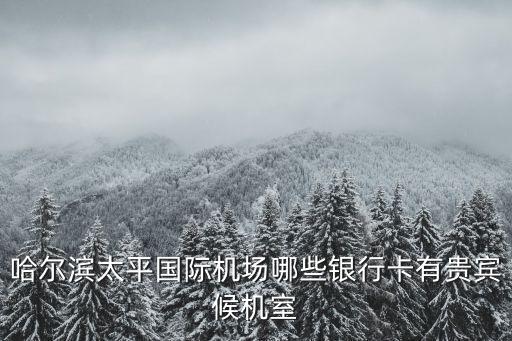 哈爾濱太平國際機(jī)場(chǎng)哪些銀行卡有貴賓候機(jī)室