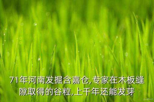 上置集團(tuán)施建被查處