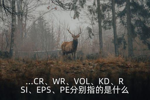 ...CR、WR、VOL、KD、RSI、EPS、PE分別指的是什么