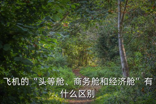 飛機(jī)的“頭等艙、商務(wù)艙和經(jīng)濟(jì)艙”有什么區(qū)別