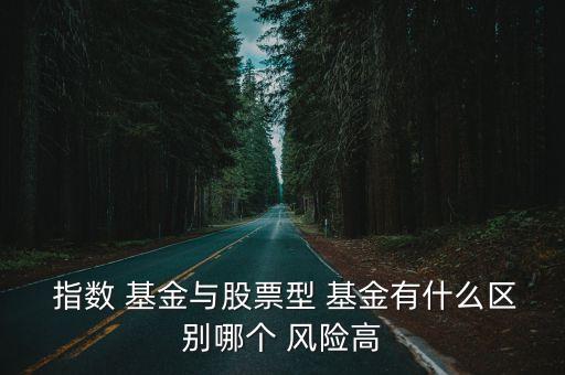 指數基金風險大嗎,定投指數基金有風險嗎