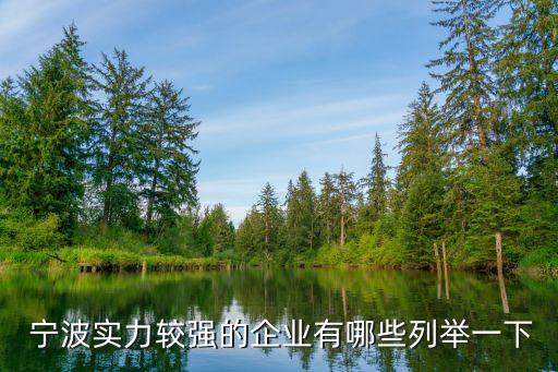 寧波實(shí)力較強(qiáng)的企業(yè)有哪些列舉一下