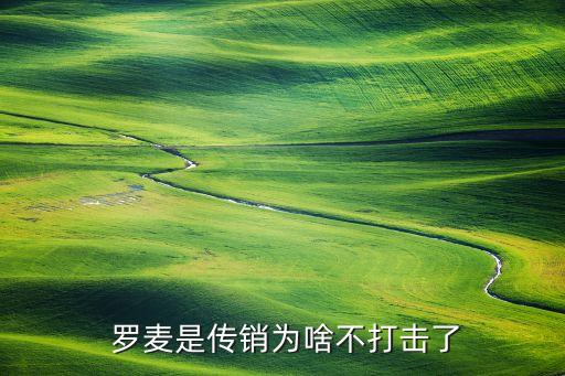  羅麥?zhǔn)莻麂N為啥不打擊了