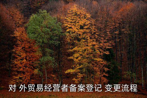 對(duì) 外貿(mào)易經(jīng)營(yíng)者備案登記 變更流程