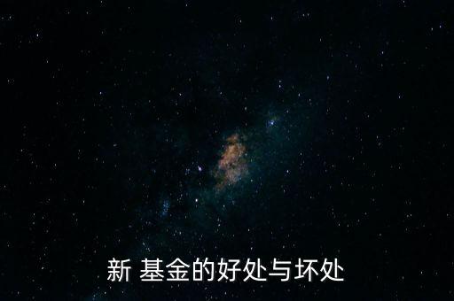新 基金的好處與壞處