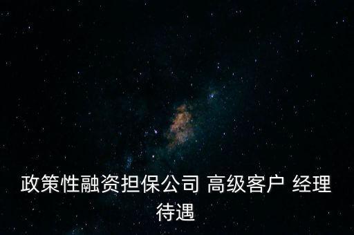 政策性融資擔(dān)保公司 高級(jí)客戶 經(jīng)理待遇