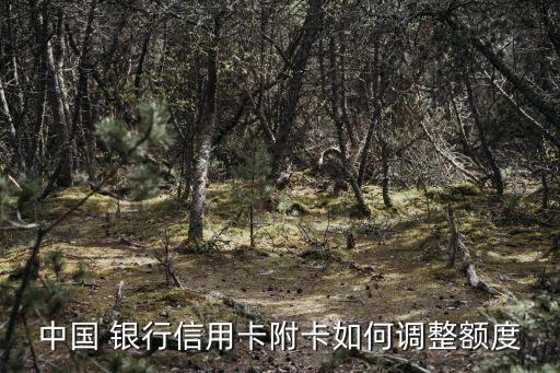 中國(guó) 銀行信用卡附卡如何調(diào)整額度