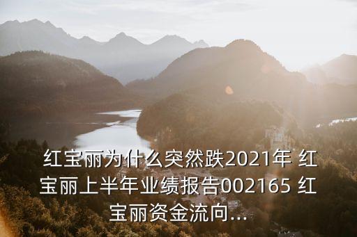  紅寶麗為什么突然跌2021年 紅寶麗上半年業(yè)績(jī)報(bào)告002165 紅寶麗資金流向...