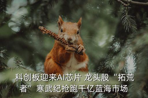  科創(chuàng)板迎來(lái)AI芯片 龍頭股“拓荒者”寒武紀(jì)搶跑千億藍(lán)海市場(chǎng)