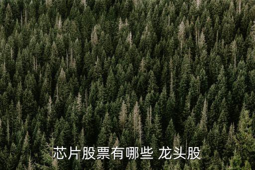上?？苿?chuàng)中心概念龍頭股,力合科創(chuàng)算力概念龍頭股