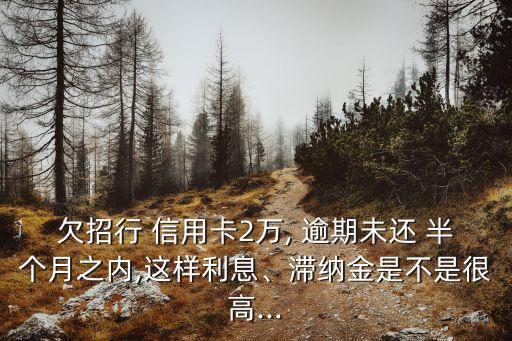 欠招行 信用卡2萬(wàn), 逾期未還 半個(gè)月之內(nèi),這樣利息、滯納金是不是很高...