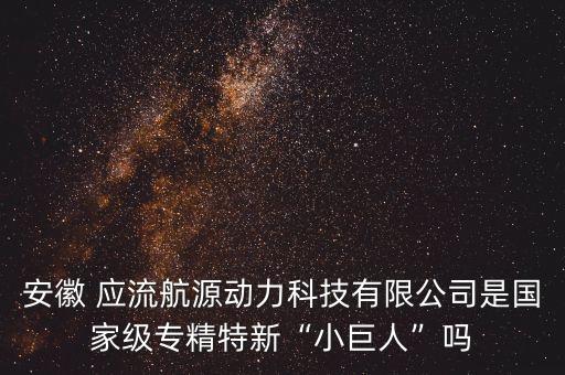 應(yīng)流集團效益,安徽應(yīng)流集團領(lǐng)導名單