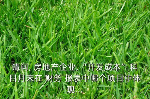 請問, 房地產(chǎn)企業(yè),“開發(fā)成本”科目月末在 財務 報表中哪個項目中體現(xiàn)...