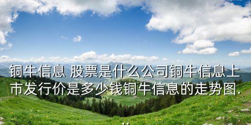 銅牛信息 股票是什么公司銅牛信息上市發(fā)行價(jià)是多少錢(qián)銅牛信息的走勢(shì)圖...