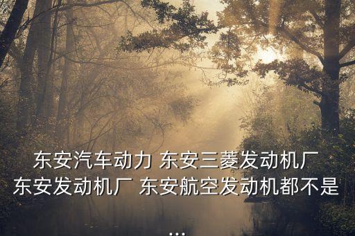  東安汽車(chē)動(dòng)力 東安三菱發(fā)動(dòng)機(jī)廠 東安發(fā)動(dòng)機(jī)廠 東安航空發(fā)動(dòng)機(jī)都不是...
