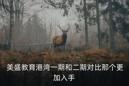 美盛集團(tuán)趙小強(qiáng),2023美盛趙小強(qiáng)現(xiàn)狀
