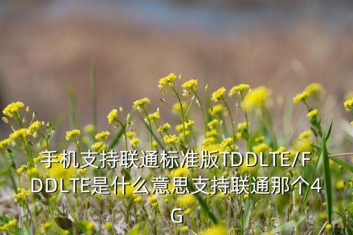 手機支持聯(lián)通標準版TDDLTE/FDDLTE是什么意思支持聯(lián)通那個4G