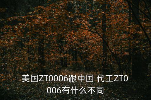 中國(guó)代工危害,中國(guó)最大的代工廠家