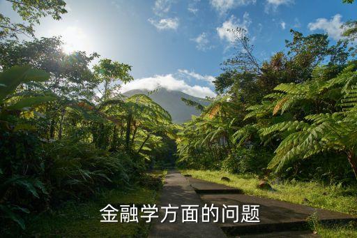  金融學(xué)方面的問(wèn)題