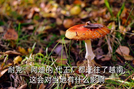 耐克、阿迪的 代工廠都遷往了越南,這會對當?shù)赜惺裁从绊? class=