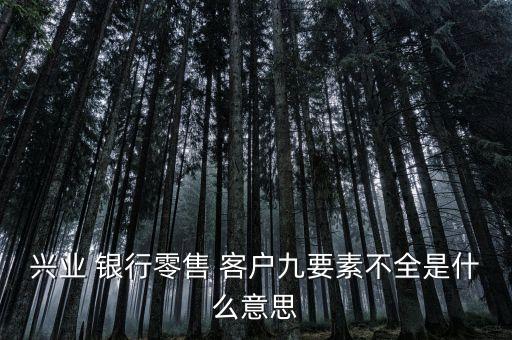 興業(yè) 銀行零售 客戶九要素不全是什么意思