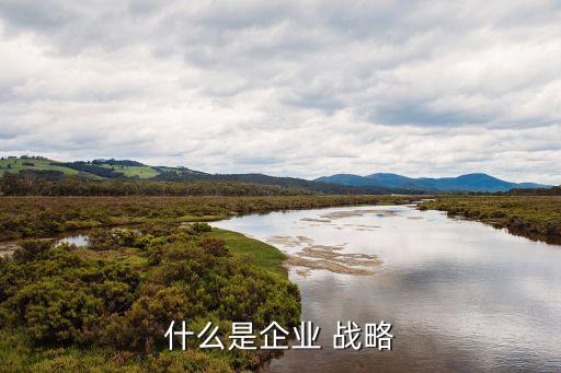 公司的戰(zhàn)略怎么定,公司戰(zhàn)略誰(shuí)來(lái)定
